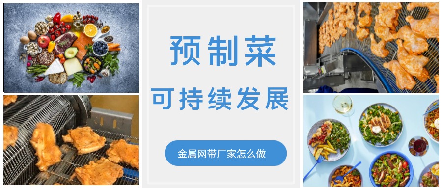 金屬輸送網帶的領頭企業(yè)，預制菜的可持續(xù)發(fā)展中能做什么？