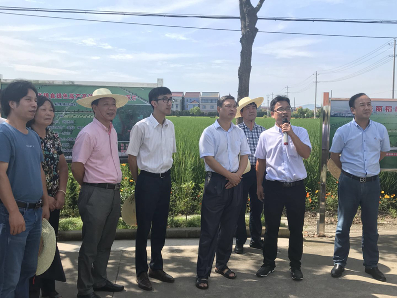 &ldquo;惠多利&rdquo;有機(jī)無機(jī)復(fù)混肥助力化肥減量增效