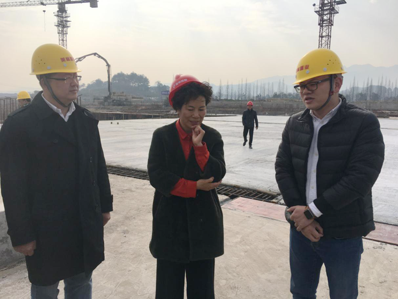 麗水市委常委、宣傳部長任淑女調(diào)研松陽美林&middot;南城壹號項目