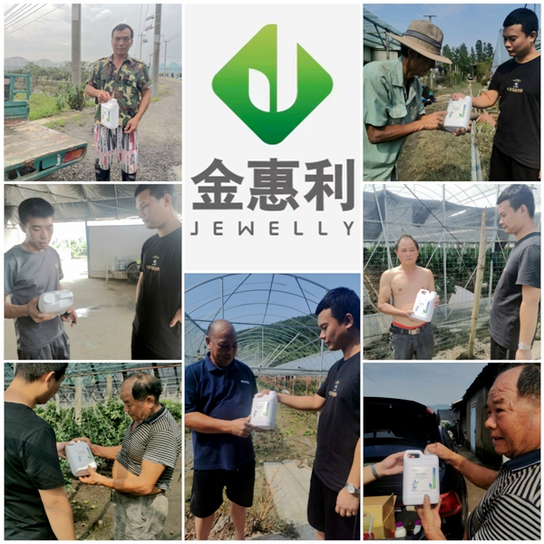 寧波金惠利為臺風受災地區&ldquo;農友會&rdquo;成員送溫暖