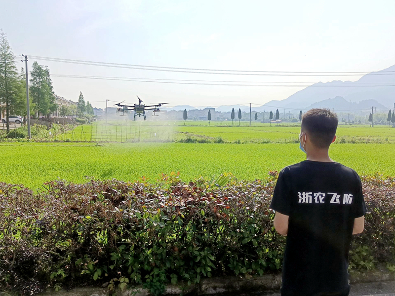 浙江日報聯合浙農集團助力常山縣球川鎮農戶增收致富 &ldquo;云指導&rdquo;種植技術送進田間地頭