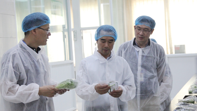 紹興市教育局、市場監管局領導赴浙農茂陽督查食品安全工作