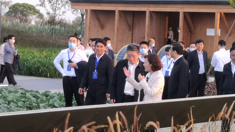 國(guó)家發(fā)改委黨組成員郭蘭峰、浙江省常務(wù)副省長(zhǎng)徐文光一行調(diào)研浙農(nóng)嘉善萬(wàn)畝水稻種植示范區(qū)