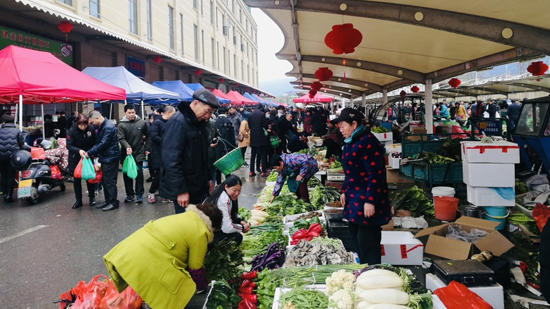 春風(fēng)輕拂百花開 農(nóng)批市場(chǎng)&ldquo;春意&rdquo;濃