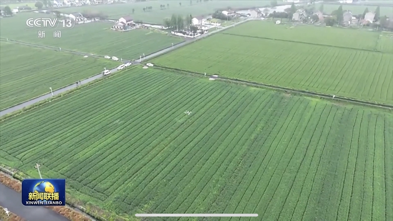 助農(nóng)降本增收！浙農(nóng)耘糧油未來農(nóng)場獲央視《新聞聯(lián)播》報(bào)道