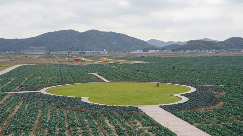 浙農(nóng)科技岱山運(yùn)營項(xiàng)目獲人民日報(bào)、新華社、央視等主流媒體關(guān)注