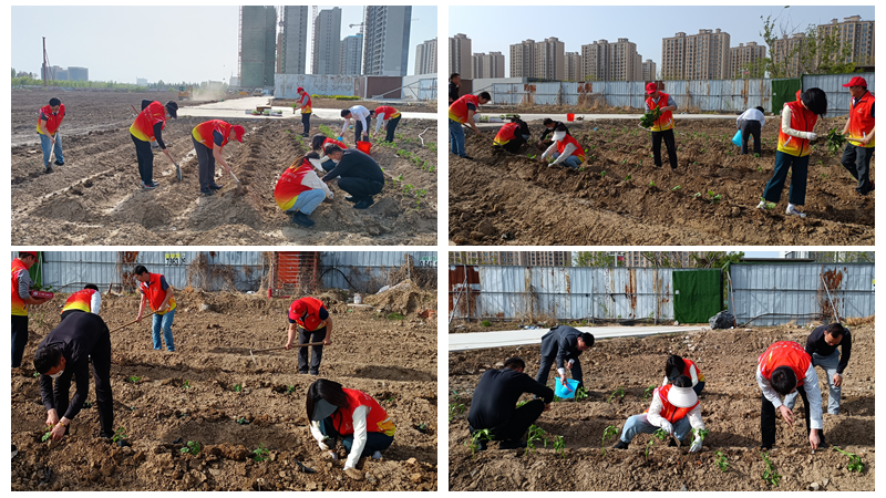 濟(jì)寧華都黨員公益服務(wù)隊開展&ldquo;植蔬助困&rdquo;公益活動