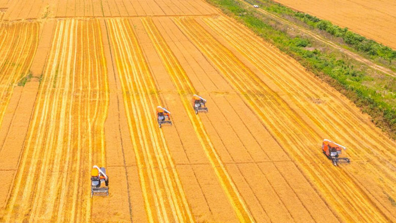 浙農(nóng)股份典型案例入選全國總社&ldquo;綠色農(nóng)資&rdquo;升級(jí)行動(dòng)案例集