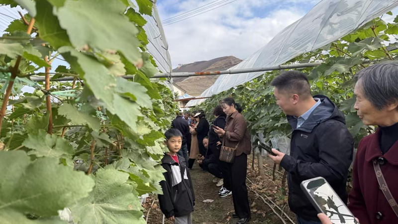愛(ài)普科技組織開(kāi)展農(nóng)業(yè)游學(xué)交流活動(dòng)