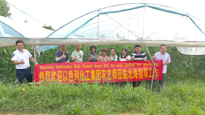 時令瓜果正當季 技術服務到田間&mdash;&mdash;愛普科技攜手以色列農藝師助力瓜農穩產增收